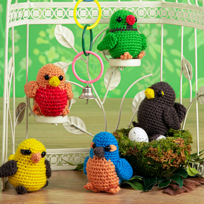 Bird Buddies PDF Download