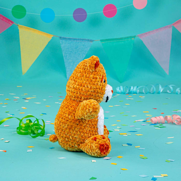 Care Bears x Crochet Society Friend Bear Crochet Kit