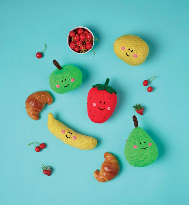 Learn to Knit for Beginners book