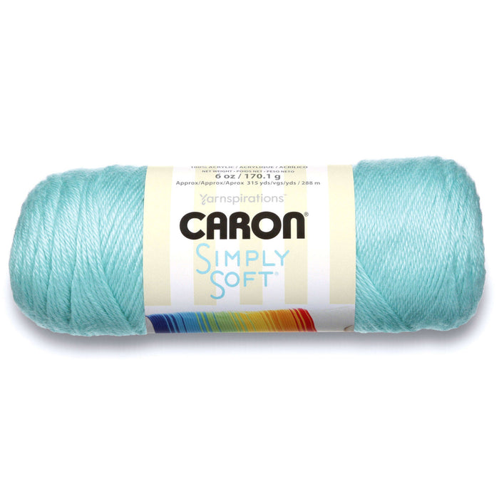 Caron Yarnspirations Simply Soft Aran Acrylic Yarn 170g | Robin's Egg