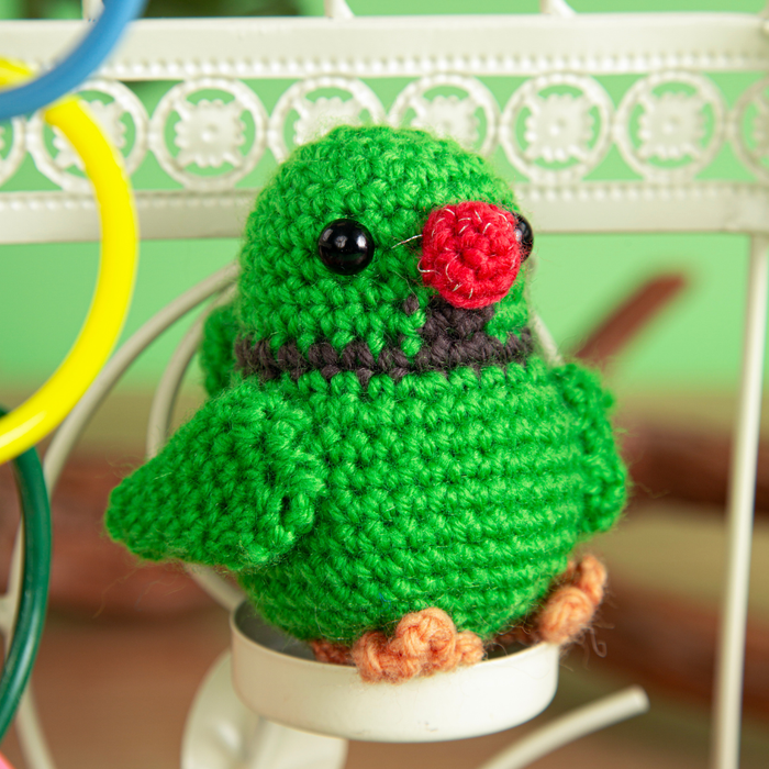 Bird Buddies Beginner Crochet Kit