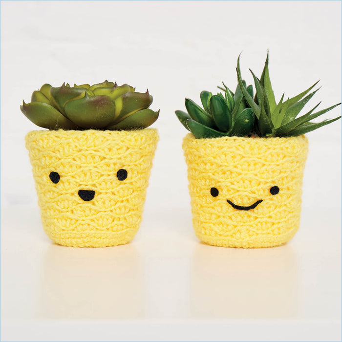 Pineapple Planters