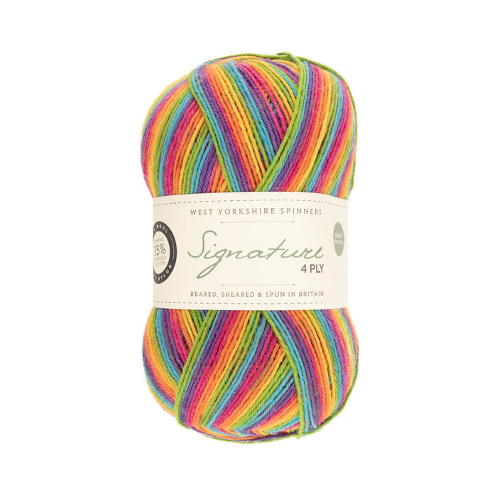 West Yorkshire Spinners Signature 4ply Wool & Nylon Yarn 100g | Rum Paradise