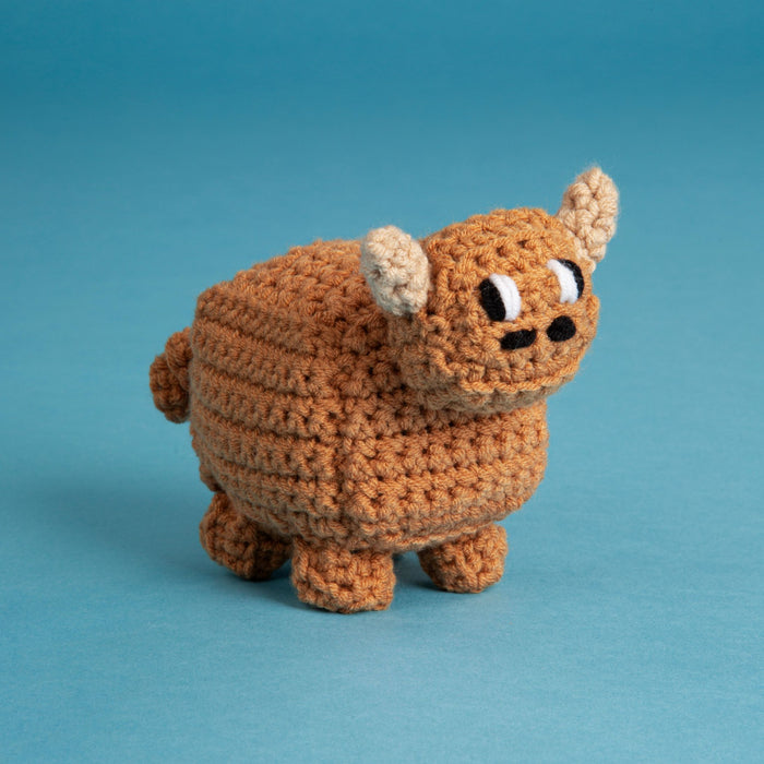 Unofficial Minecraft Pattern & Acrylic Yarn Bundle