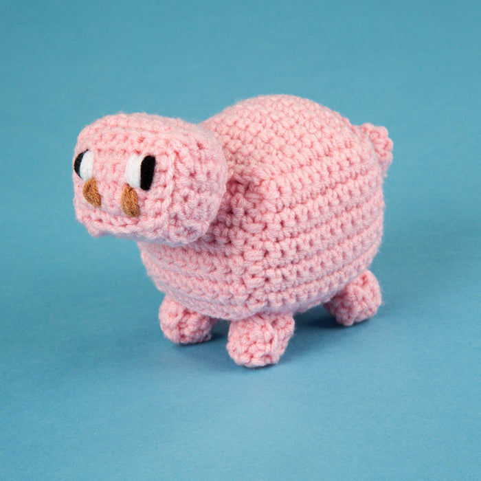 Unofficial Minecraft Pattern & Acrylic Yarn Bundle