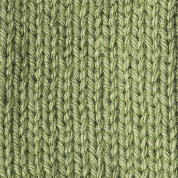 Caron Yarnspirations Simply Soft Aran Acrylic Yarn 170g | Pistachio