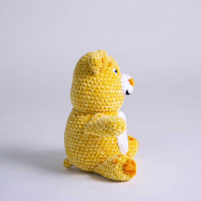 Care Bears x Crochet Society Funshine Bear Crochet Kit