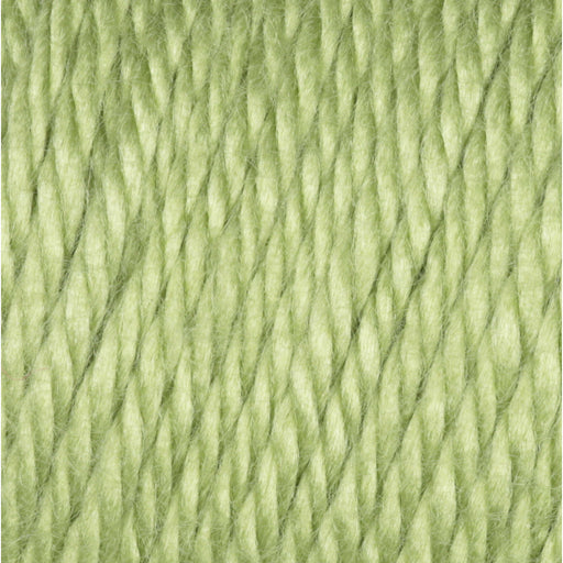 Caron Yarnspirations Simply Soft Aran Acrylic Yarn 170g | Pistachio