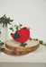 Crochet Garden Birds book