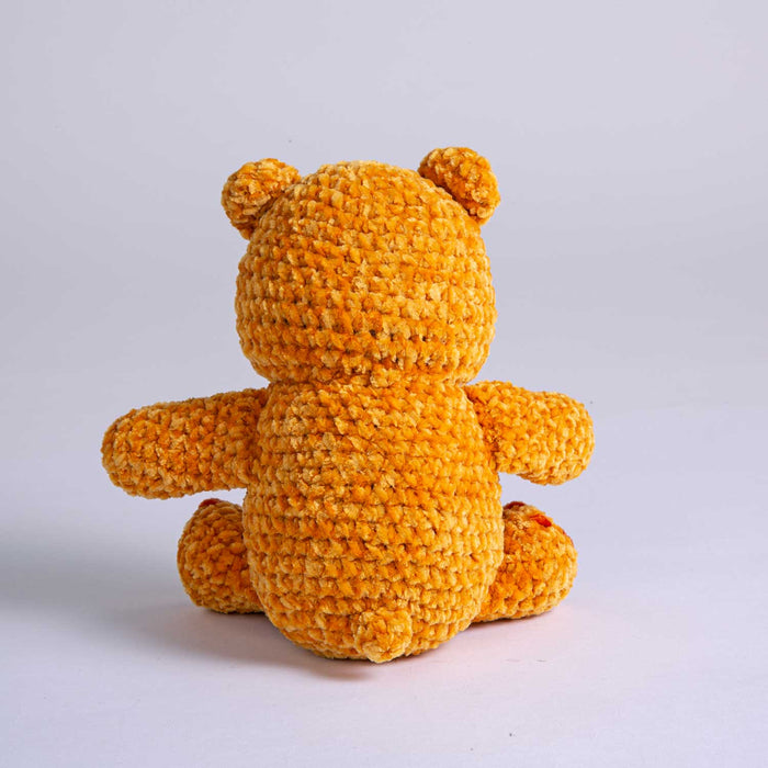Care Bears x Crochet Society Friend Bear Crochet Kit