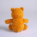 Care Bears x Crochet Society Friend Bear Crochet Kit
