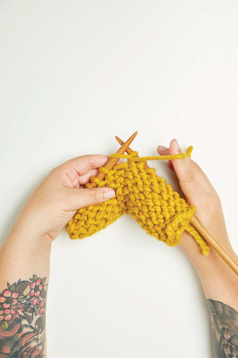 Learn to Knit for Beginners book