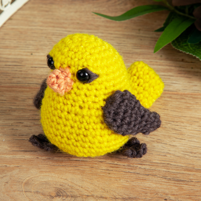 Bird Buddies Beginner Crochet Kit