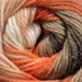 D.M.C Brio Multicolour Yarn #406