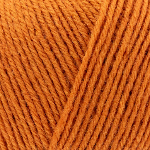 West Yorkshire Spinners Signature 4ply Wool & Nylon Yarn 100g | Amber