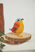 Crochet Garden Birds book