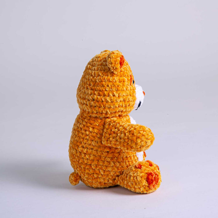 Care Bears x Crochet Society Friend Bear Crochet Kit