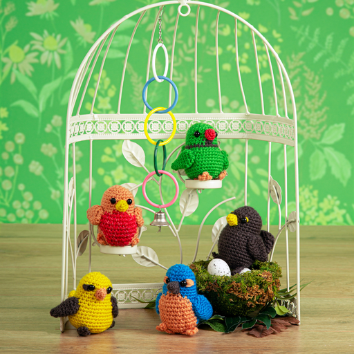 Bird Buddies Beginner Crochet Kit
