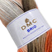 D.M.C Brio Multicolour Yarn #406