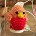 Bird Buddies Beginner Crochet Kit