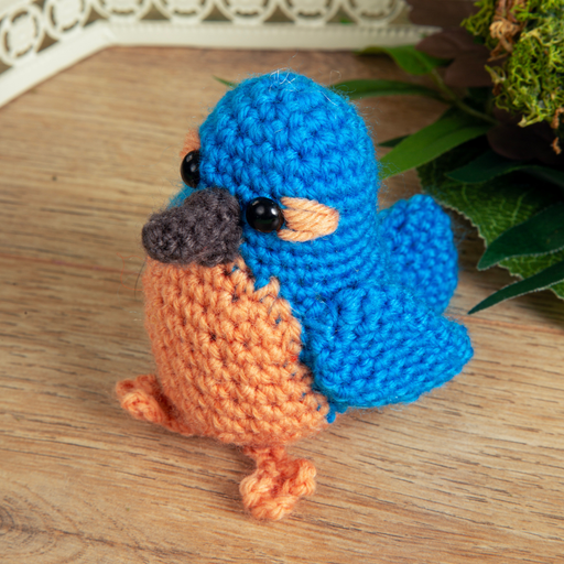 Bird Buddies Beginner Crochet Kit