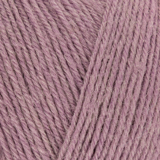 West Yorkshire Spinners Signature 4ply Wool & Nylon Yarn 100g | Pennyroyal